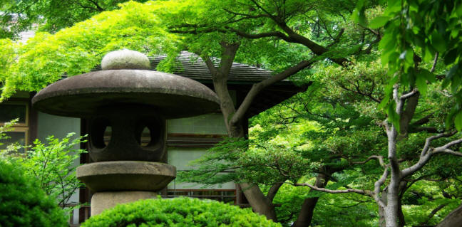 Jardin Koishikawa Korakuen